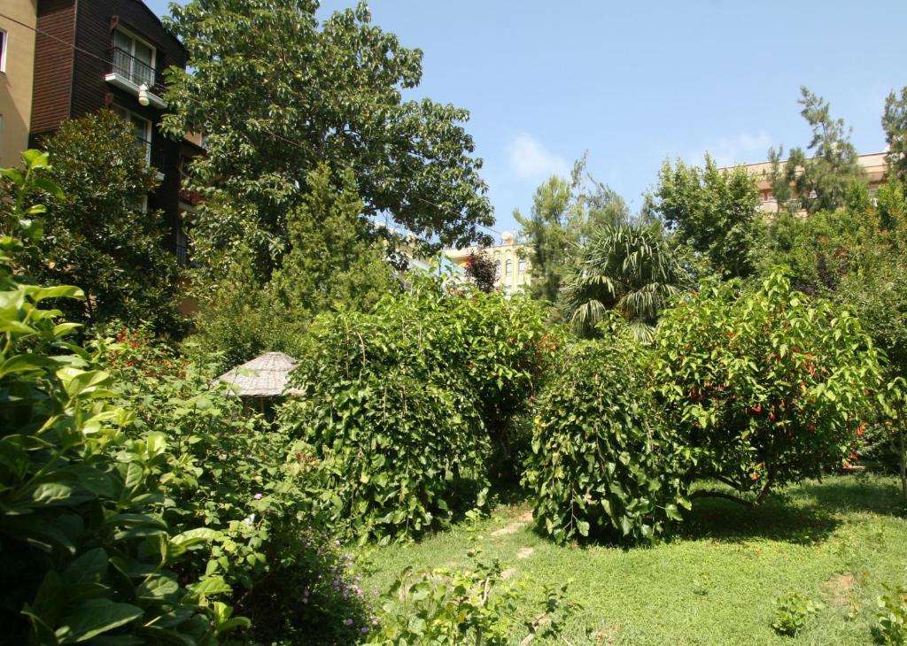 Sevkibey Hotell 3*